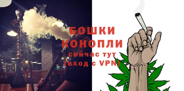 дурь Козловка