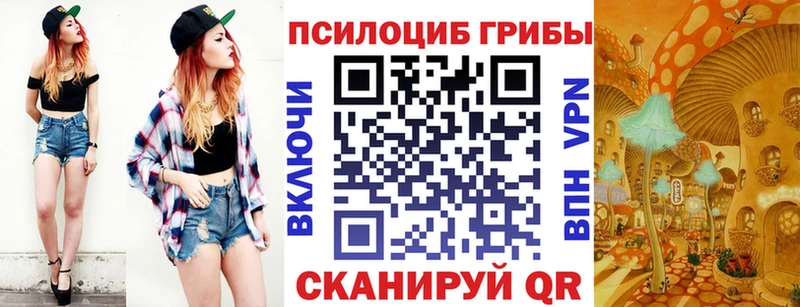 shop формула  MEGA ONION  Галлюциногенные грибы прущие грибы  Темников  цена наркотик 